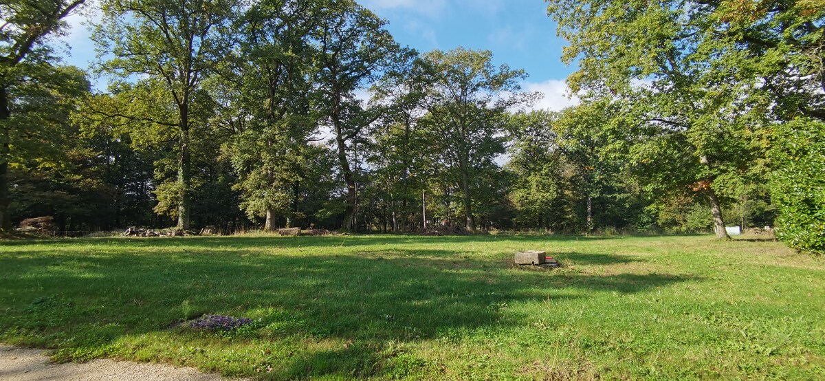 Le jardin et le parc